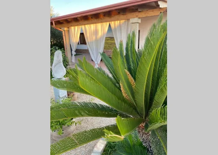 Holiday home Casa Shardana - Sardegna - Porto Pino - Giba